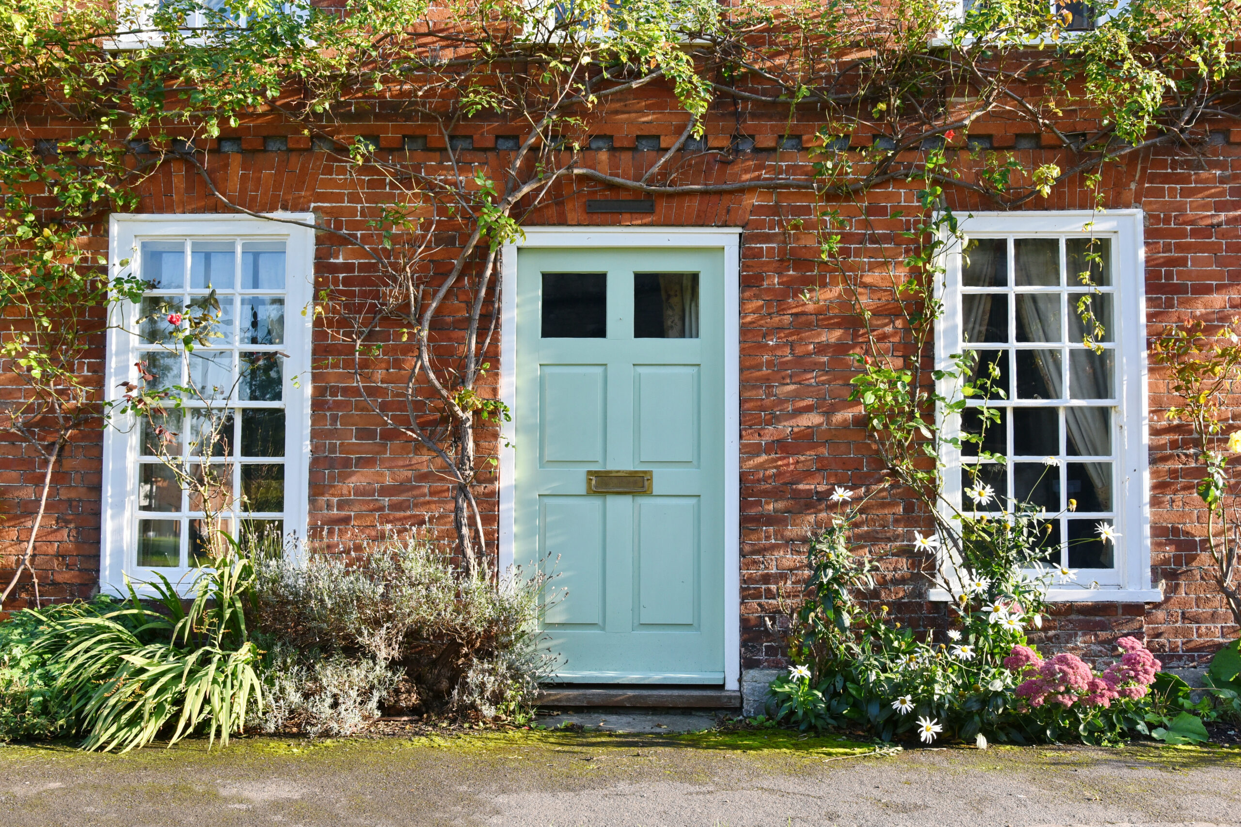 Which RICS Home Survey?